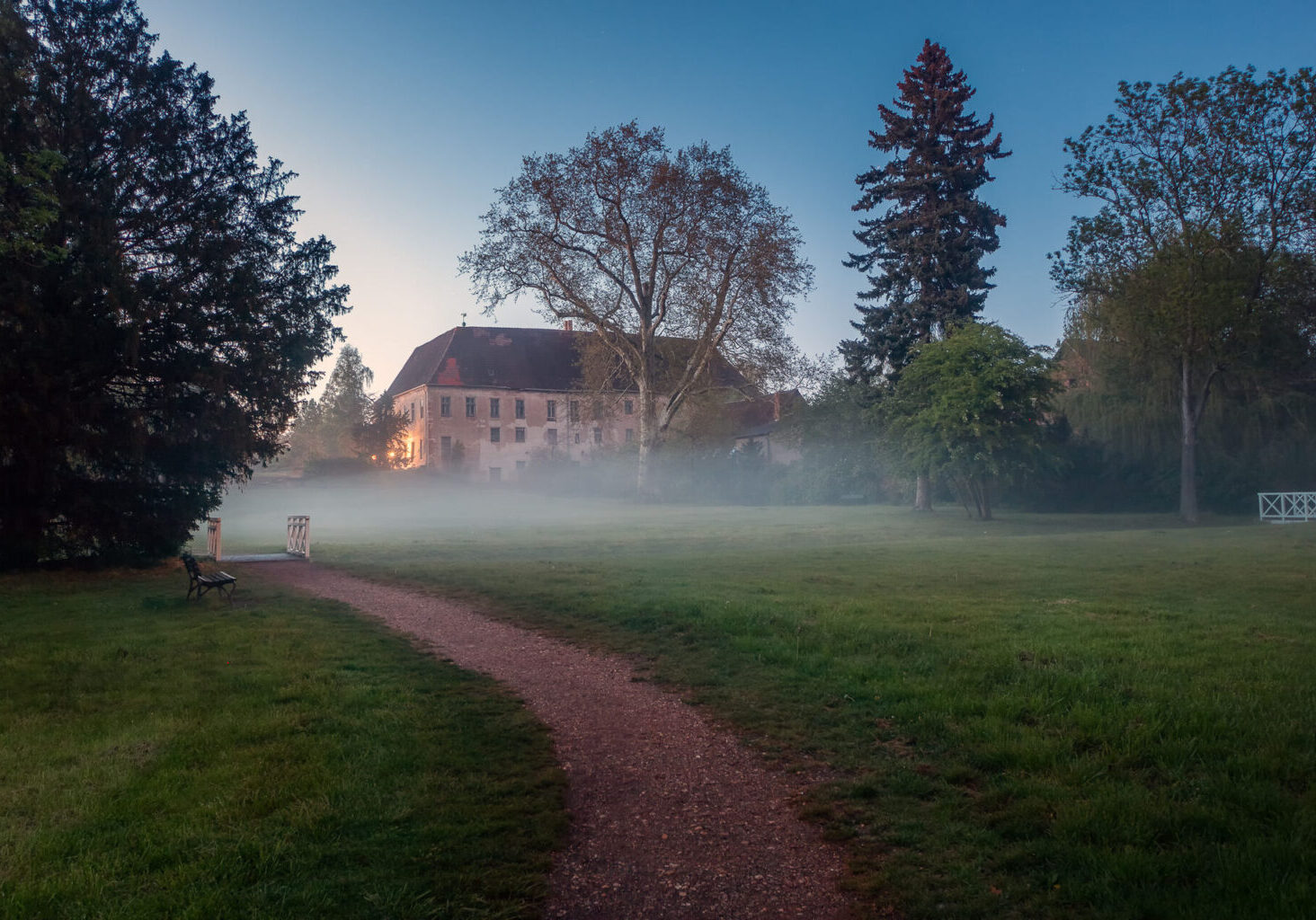 55_fw_dieskauer_park_im_nebel_anja_ulrich