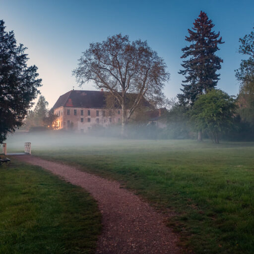 55_fw_dieskauer_park_im_nebel_anja_ulrich